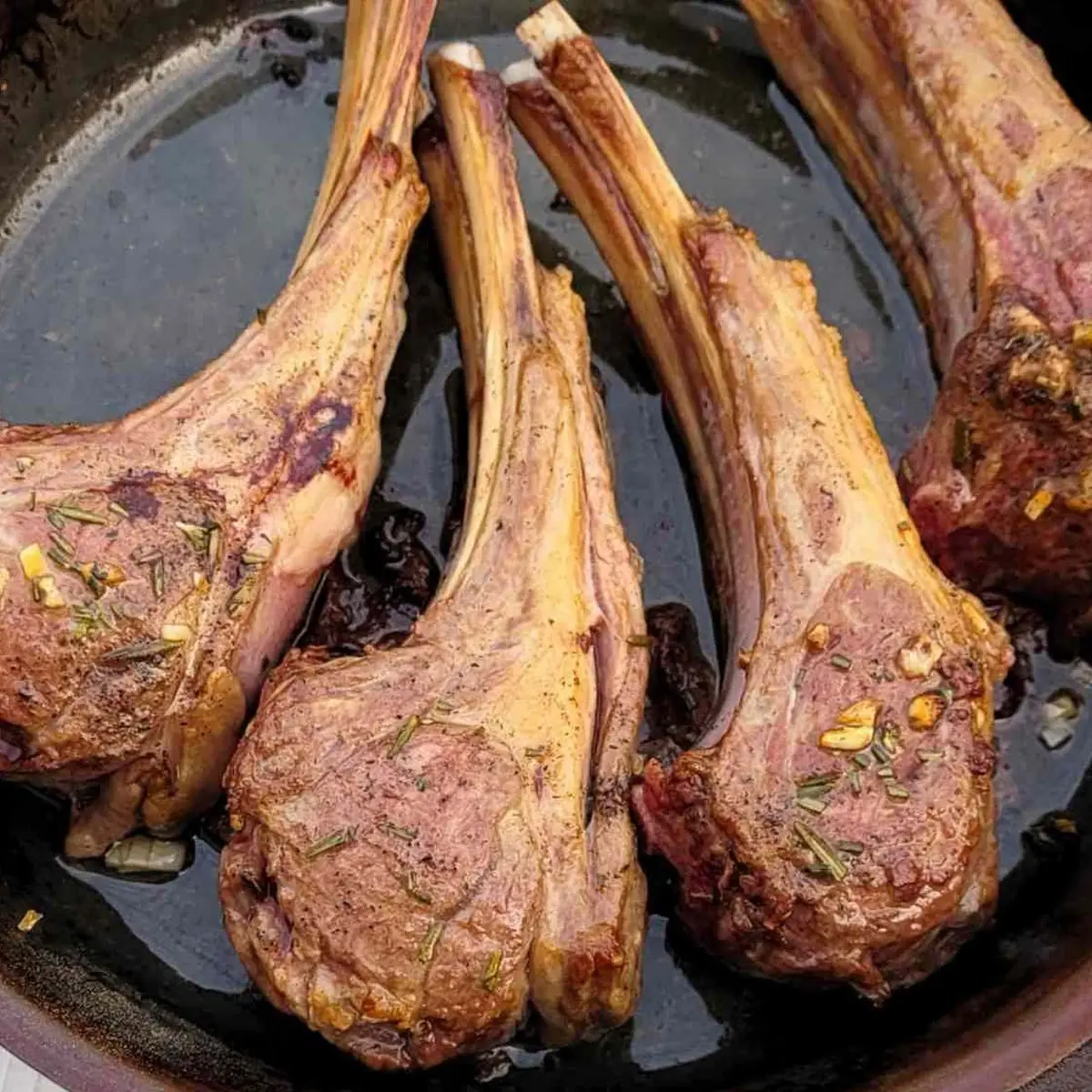 Lamb Lollipop