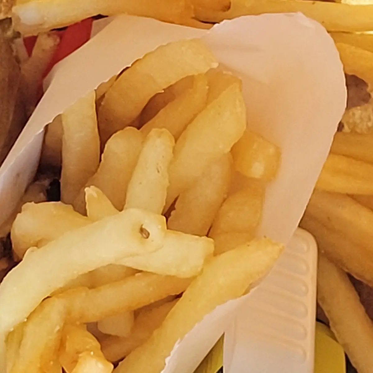 World Famous Fries