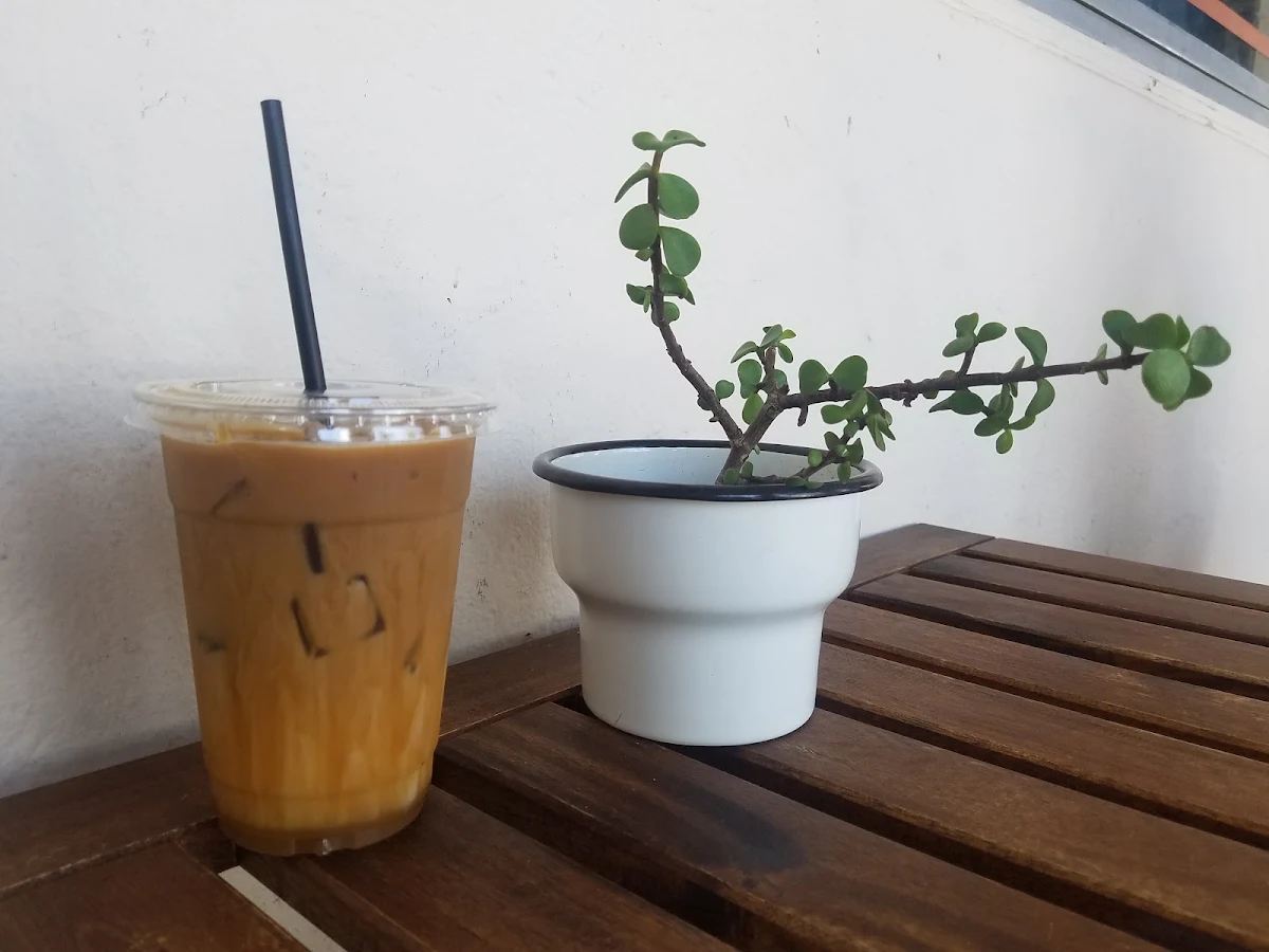 Iced Caramel Macchiato