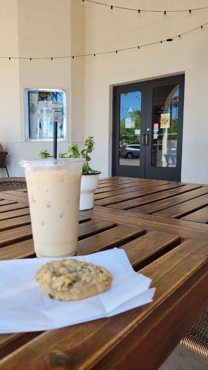 Walnut Chocolate Chip Cookie