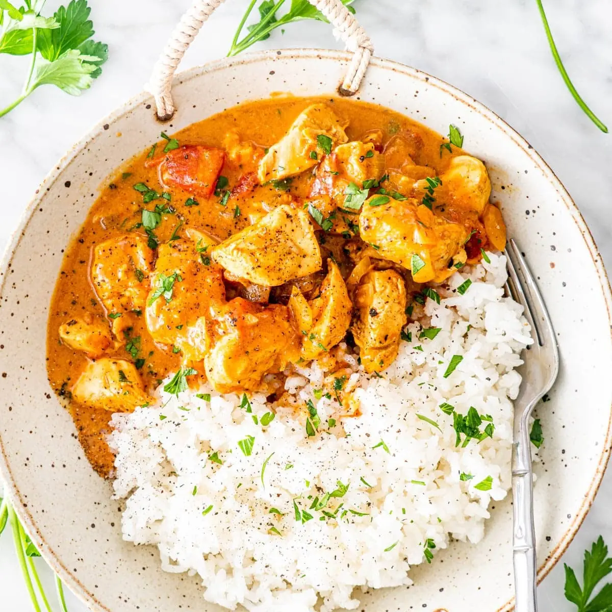 Chicken Curry with Rice