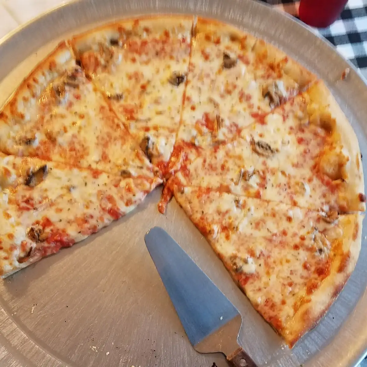 Extra Cheese & Mushroom Pizza