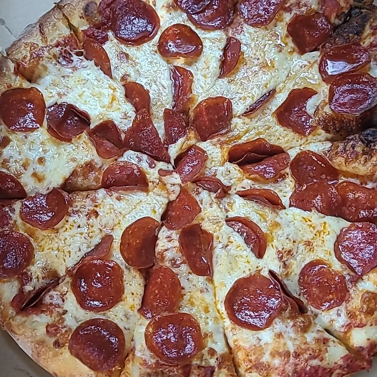 Wednesday Special Pizza