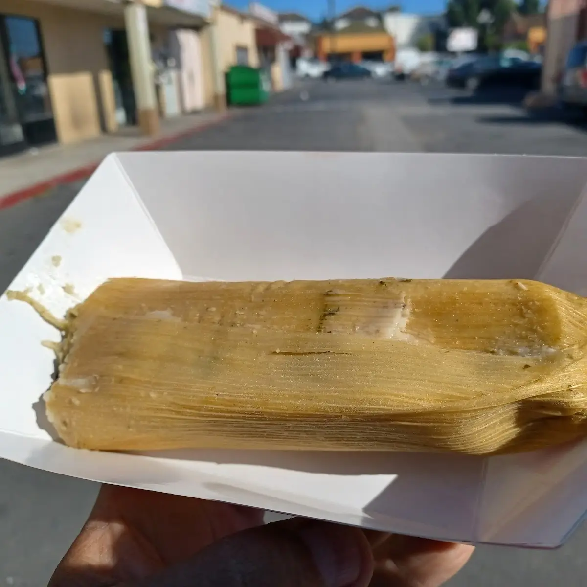 Chicken Tamale