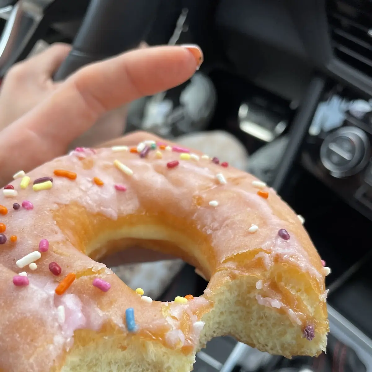 Strawberry Frosted Donut