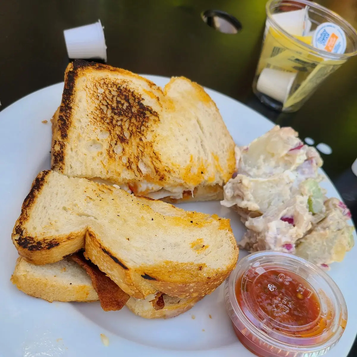 Turkey Bacon Sandwich