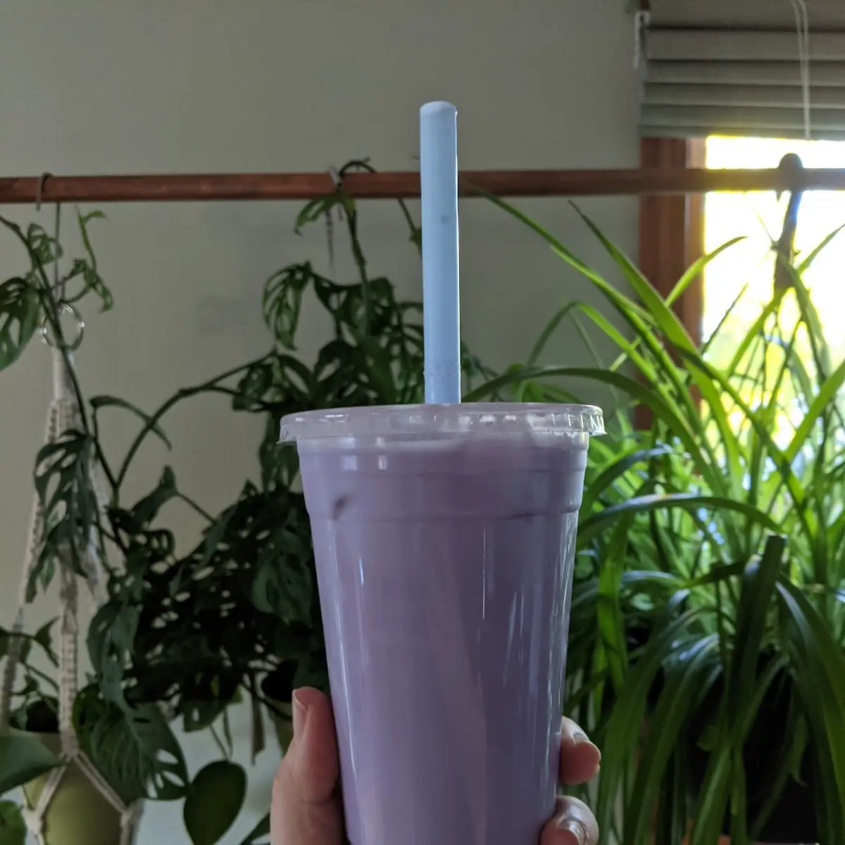 Taro Milk Tea