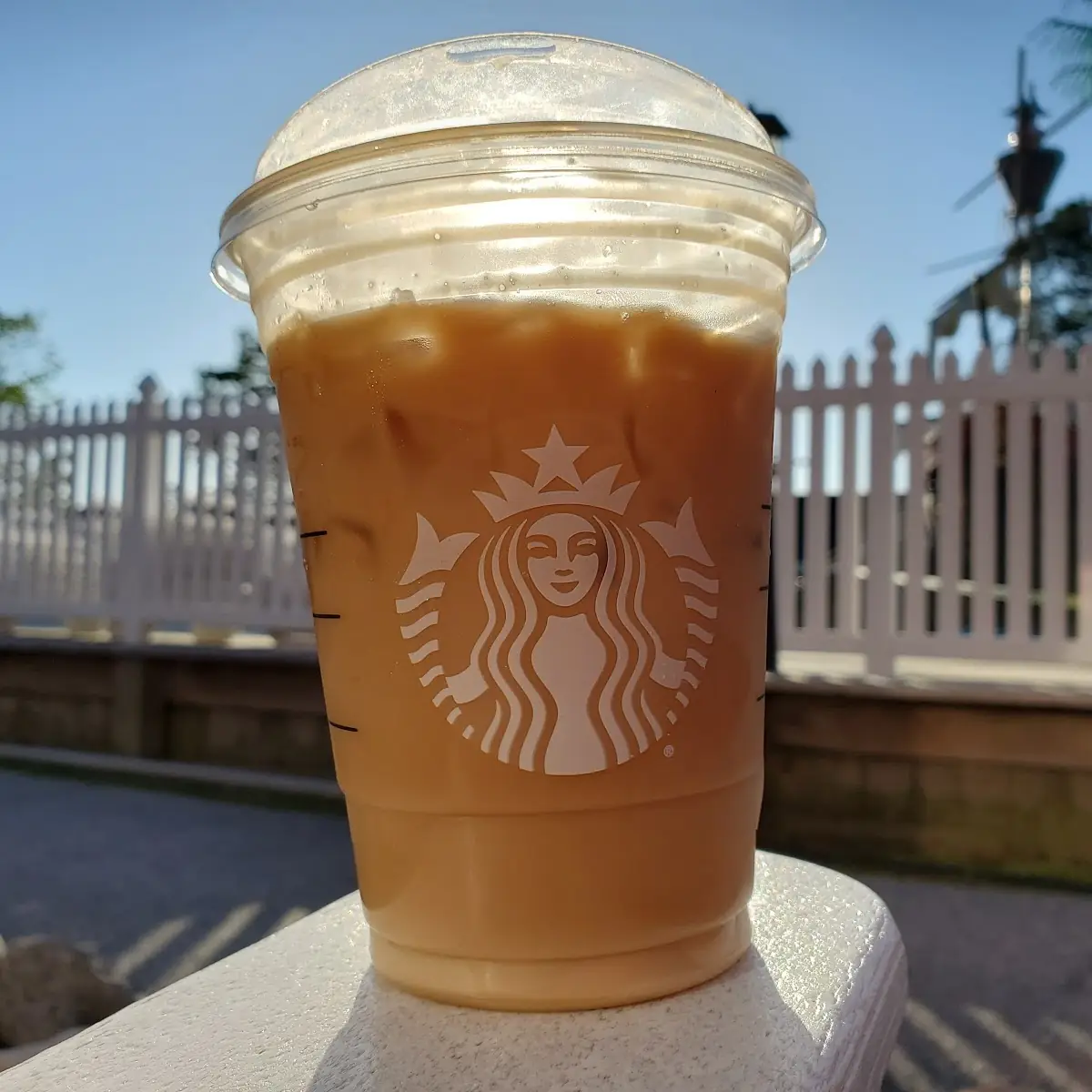 Sweet Cream Cold Brew
