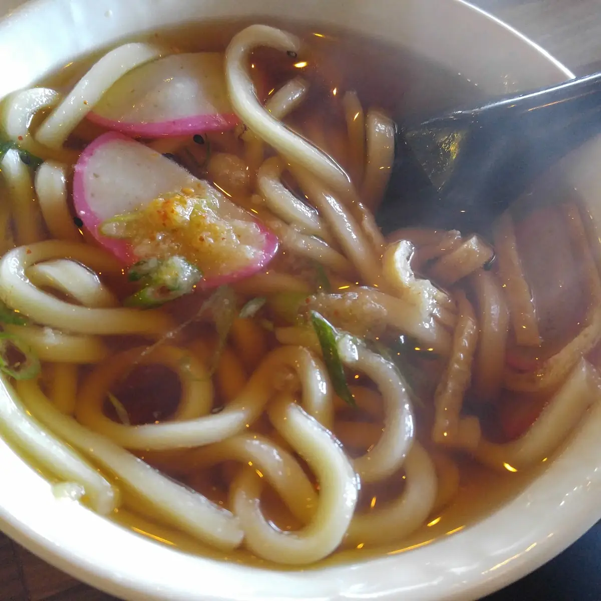 Udon Noodle Soup