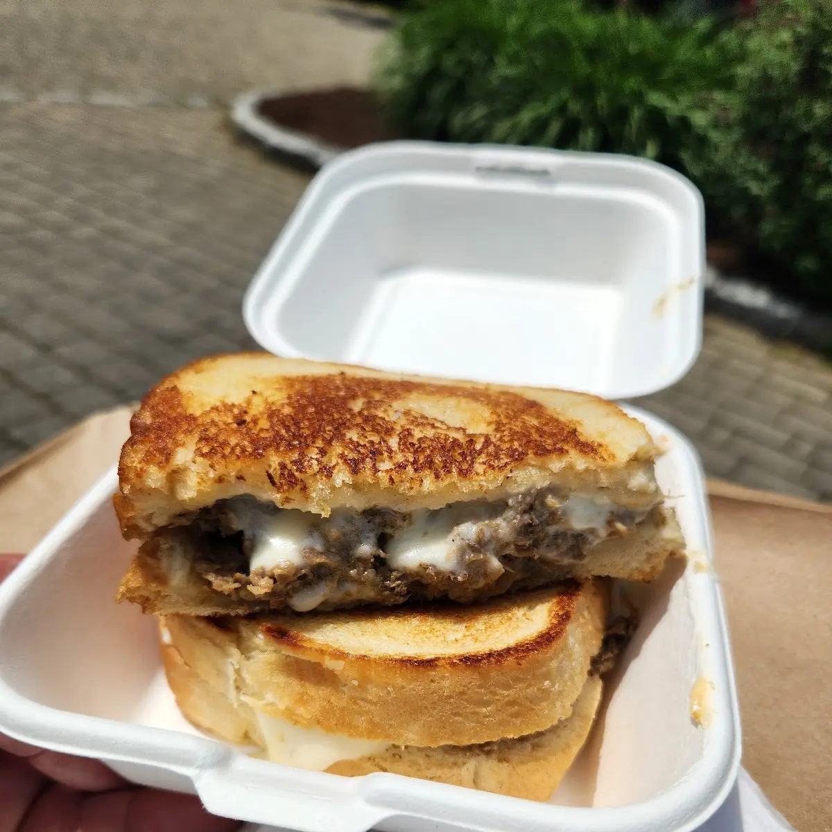 Philly Sandwich Melt