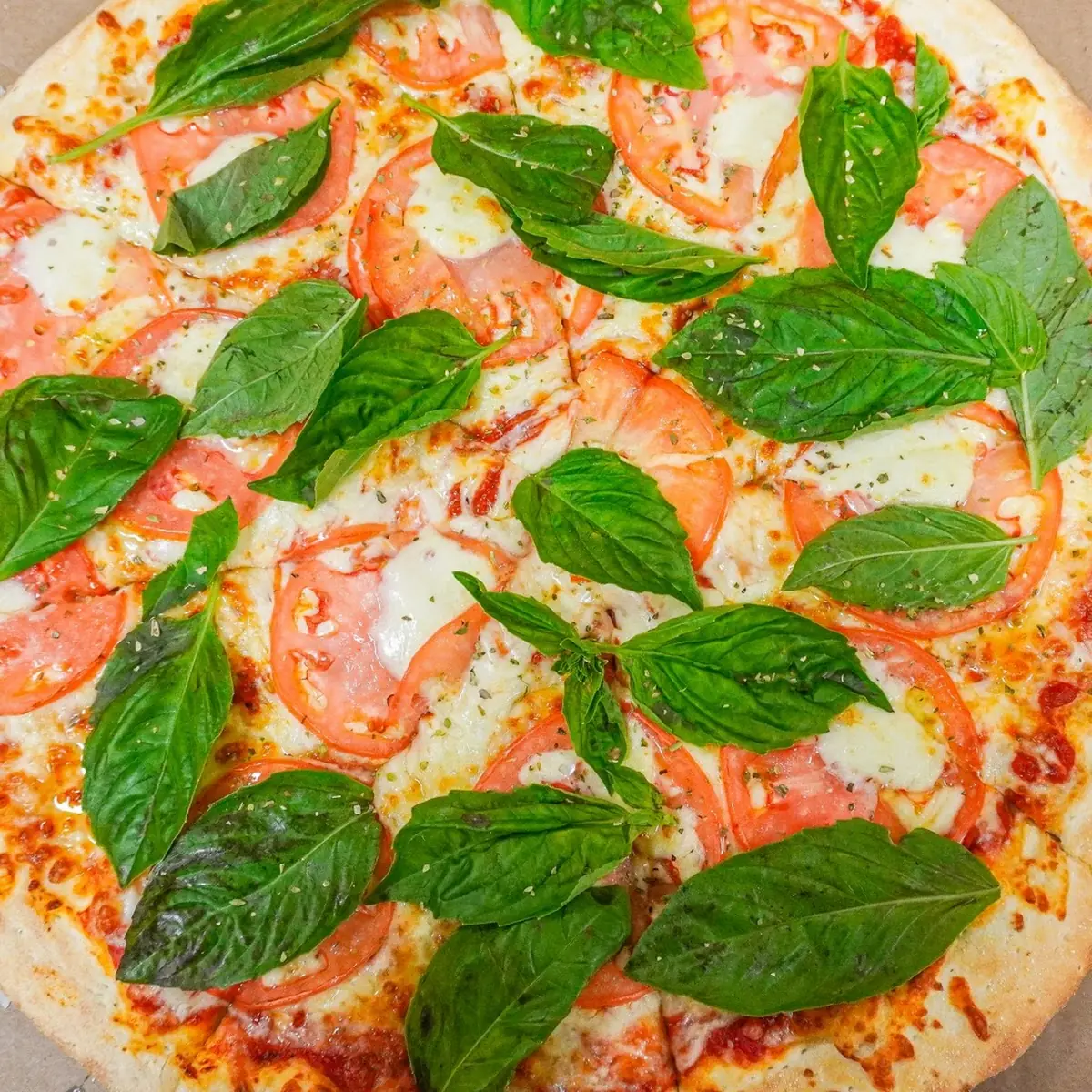 Margherita Pizza