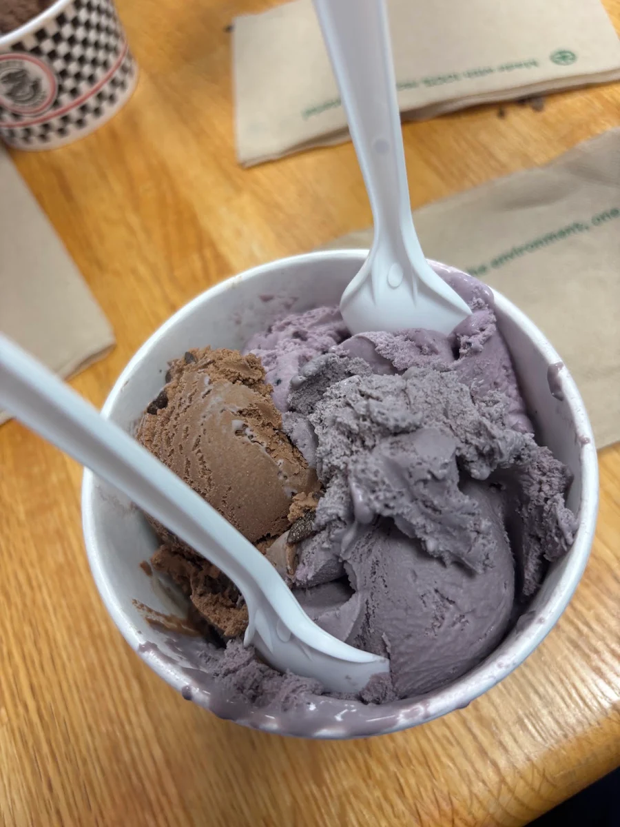 Chocolate Chocolate Chip