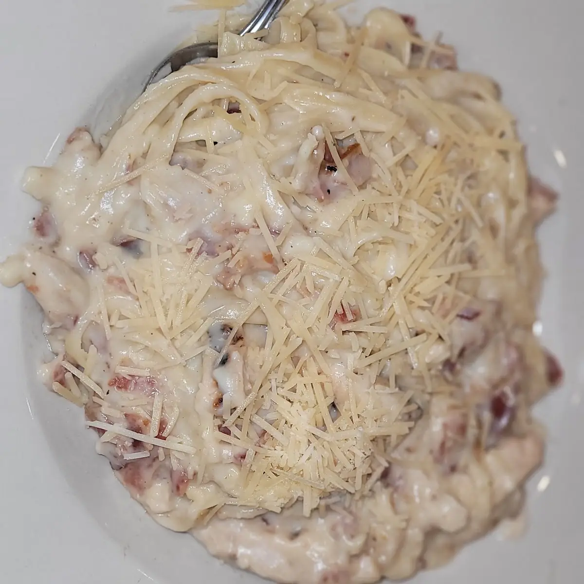 Chicken Alfredo Carbonara Pasta