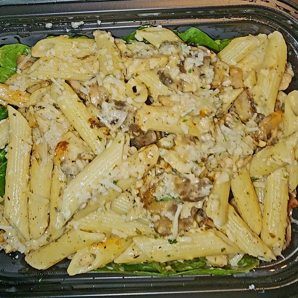 Chicken Alfredo Pasta