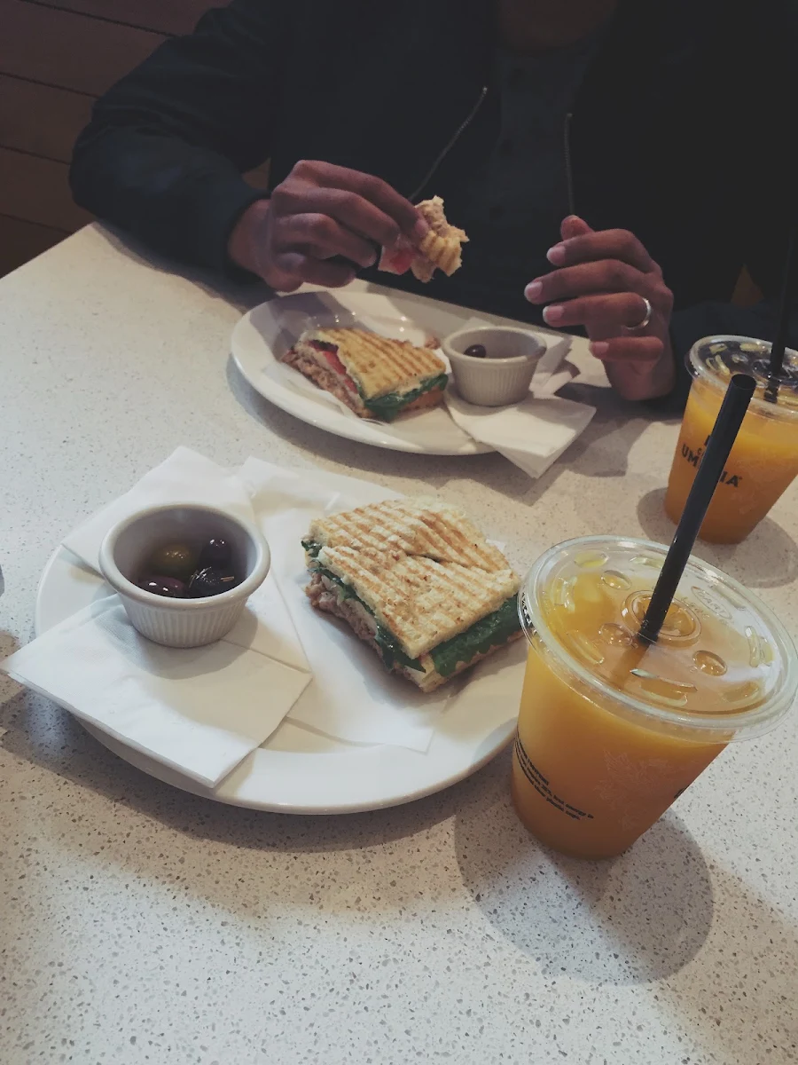 Tuna Sandwich