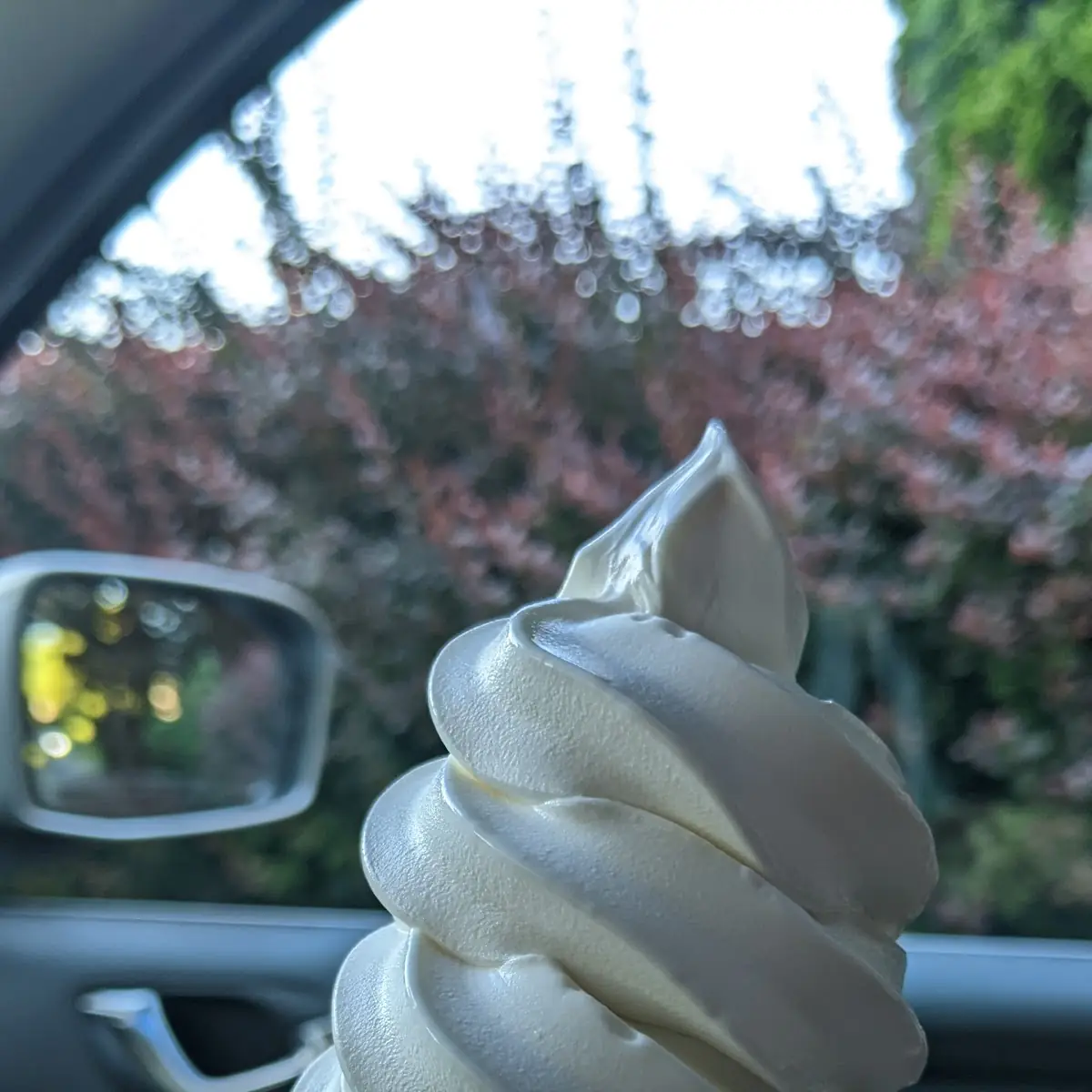 Soft Serve
