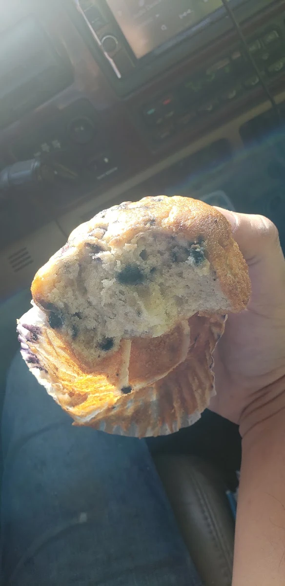 Blueberry Muffin