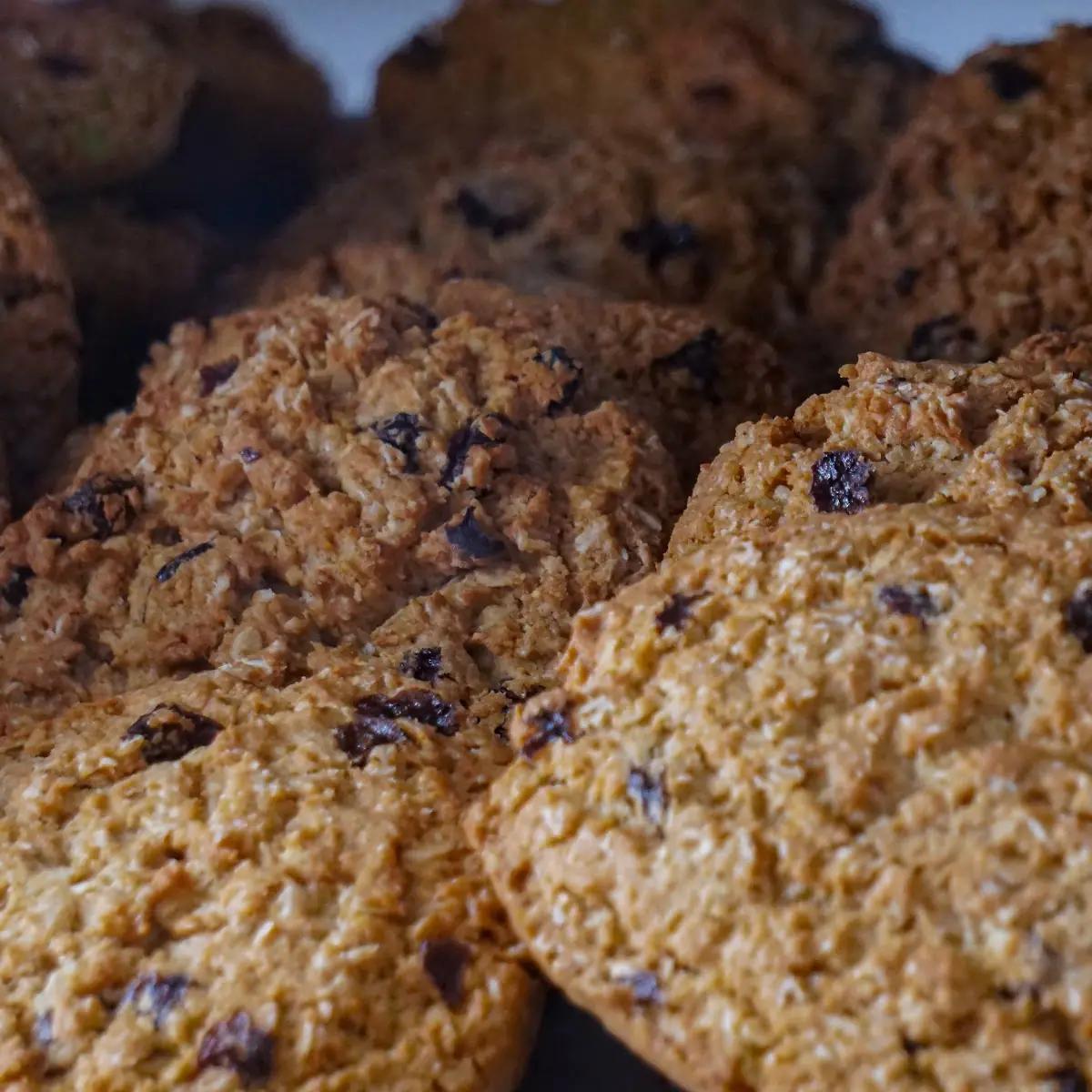 Oatmeal Raisin Cookies