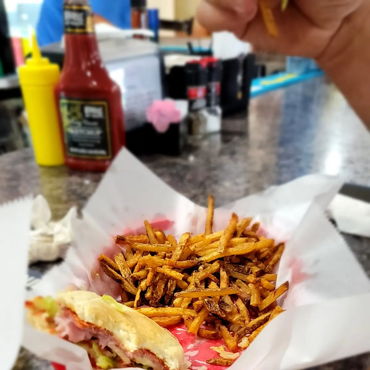 Sub with Hand Cut Seasoned Fries