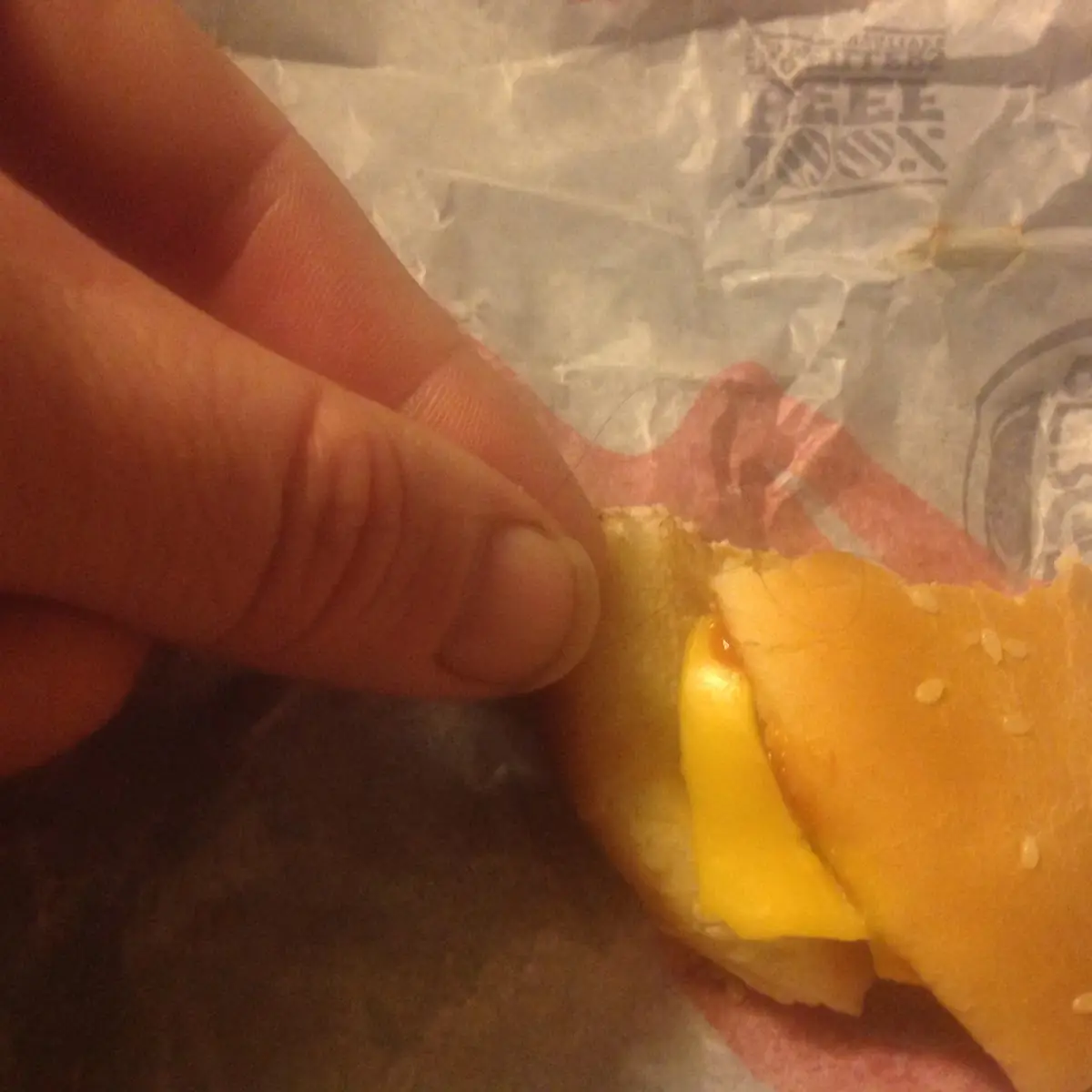 Hair in Cheeseburger