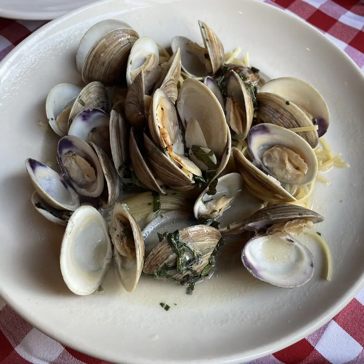 Steamed Clams