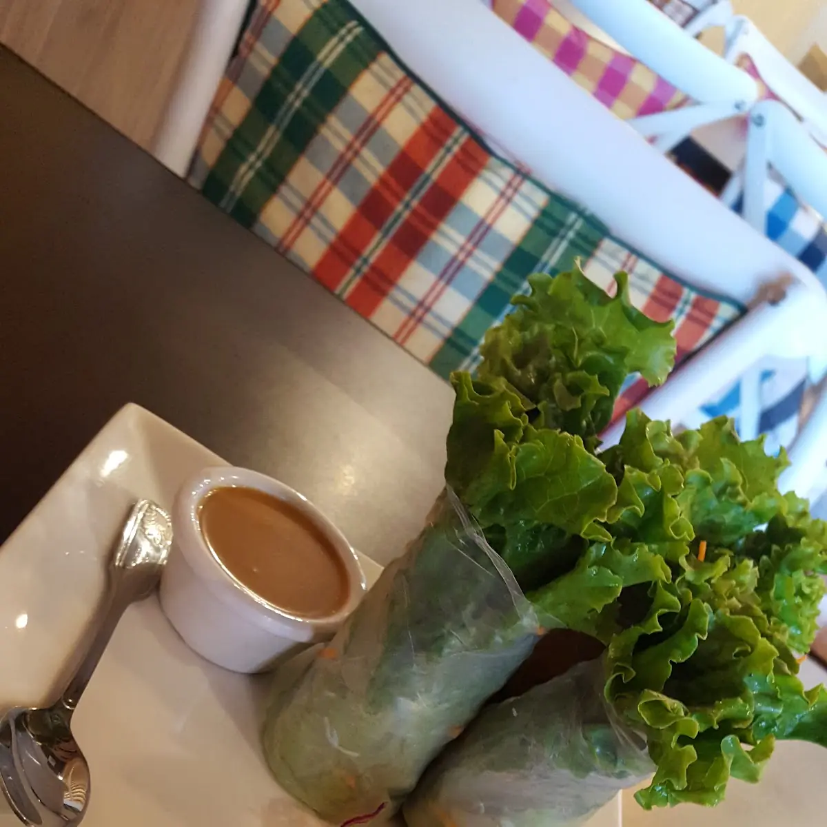 Fresh Spring Rolls