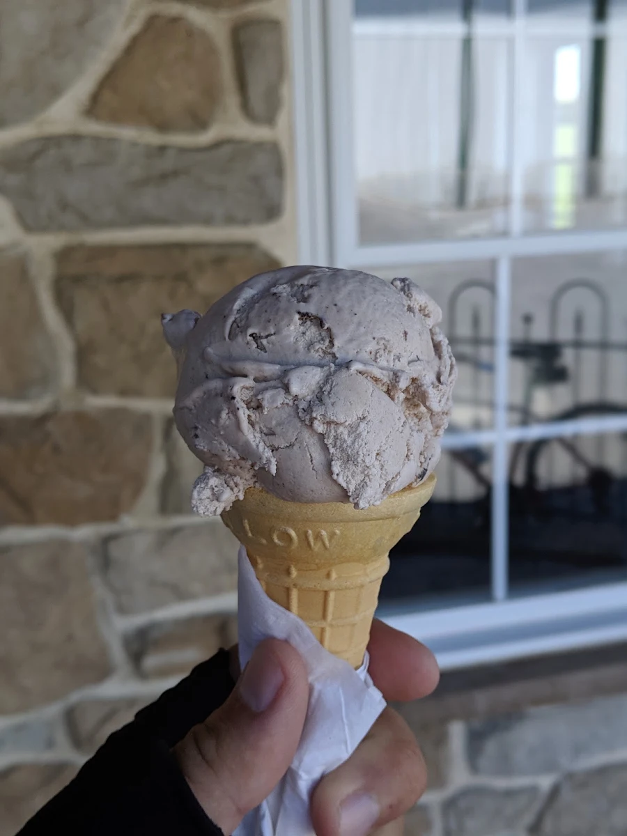 Cookies & Cream Ice Cream