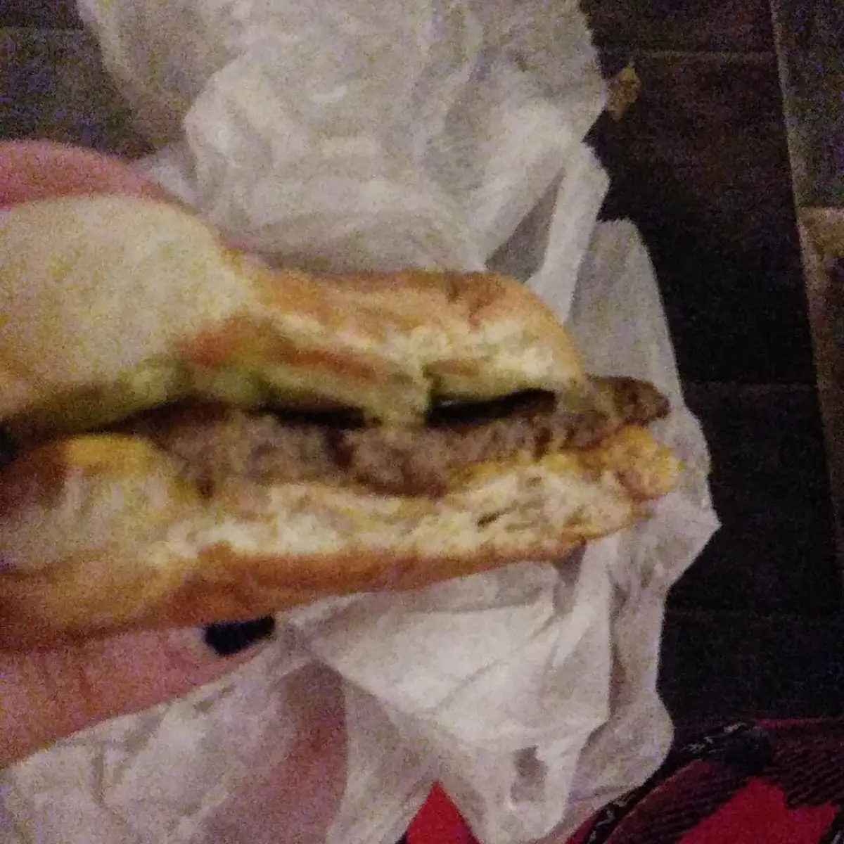 Cheese Burger with Extra Pickles