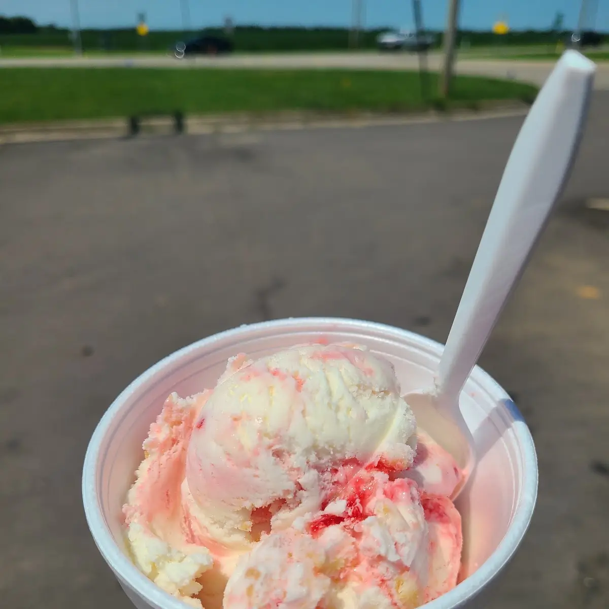 Raspberry Cheesecake Ice Cream