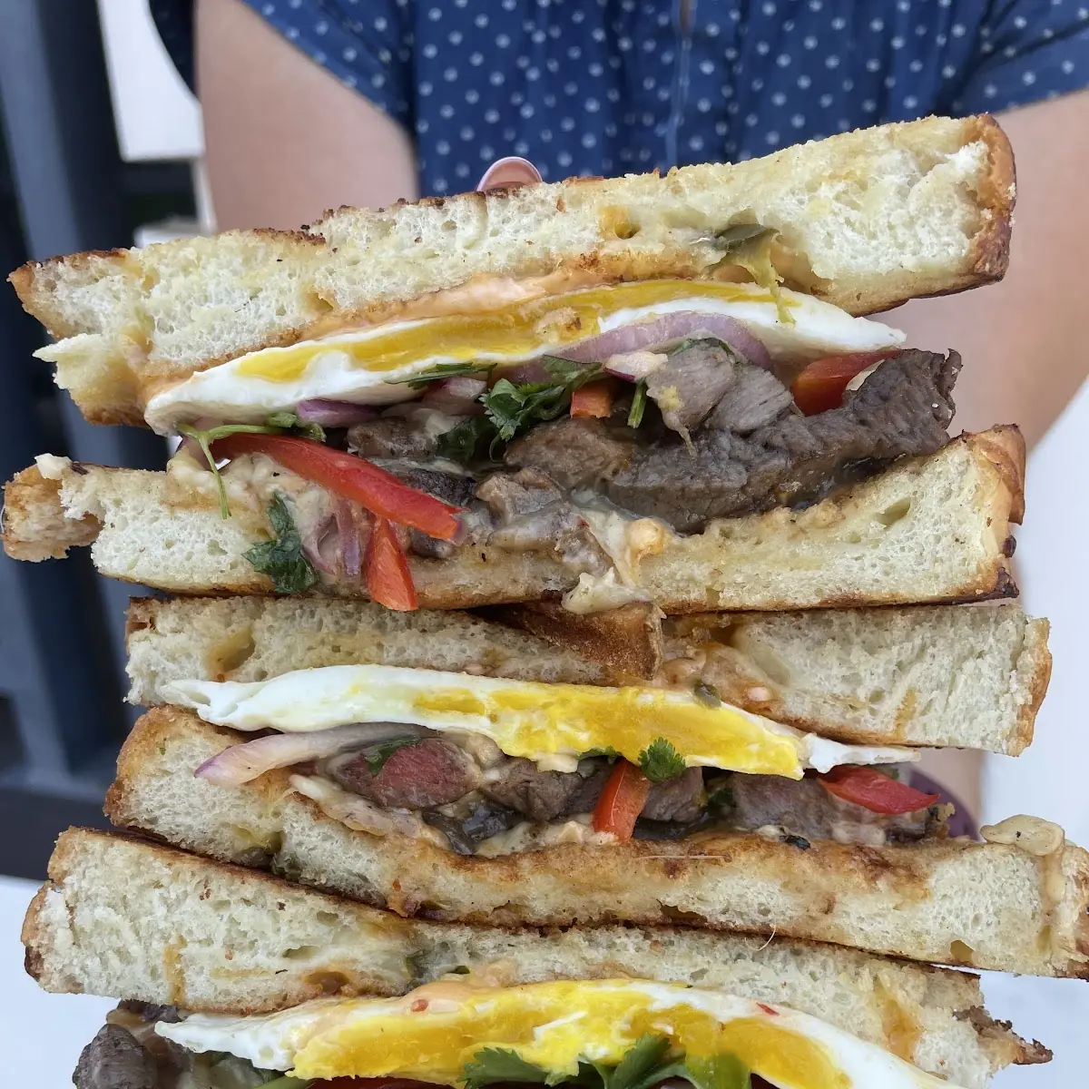 Steak Sandwich