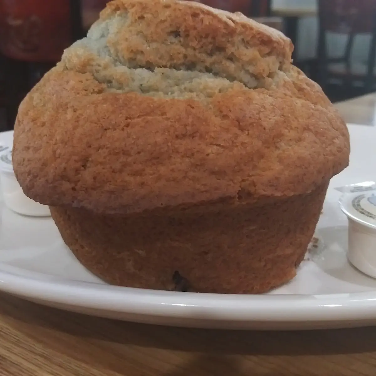 Blueberry Muffin