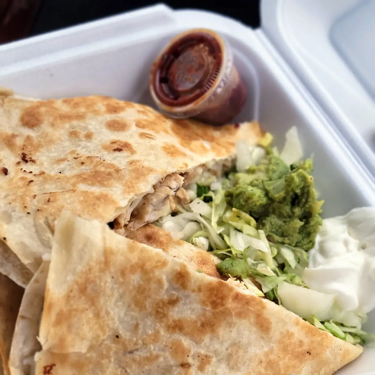 Pollo Chicken Quesadilla