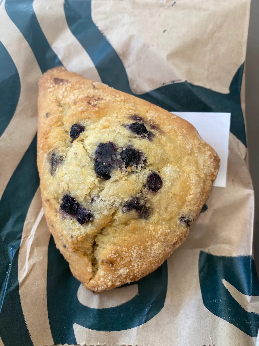 Petite Vanilla Bean Scone