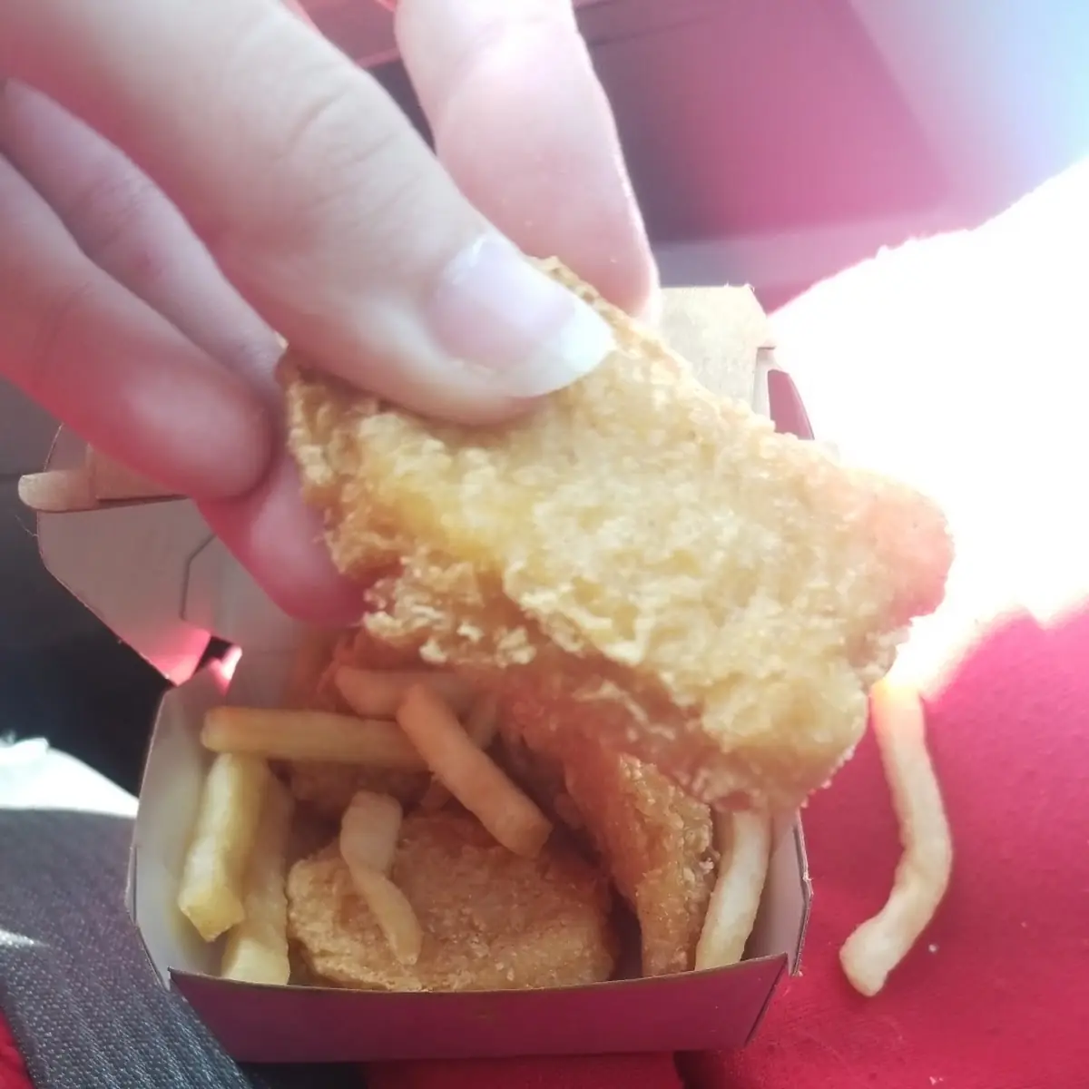 Chicken Nuggets and Fries