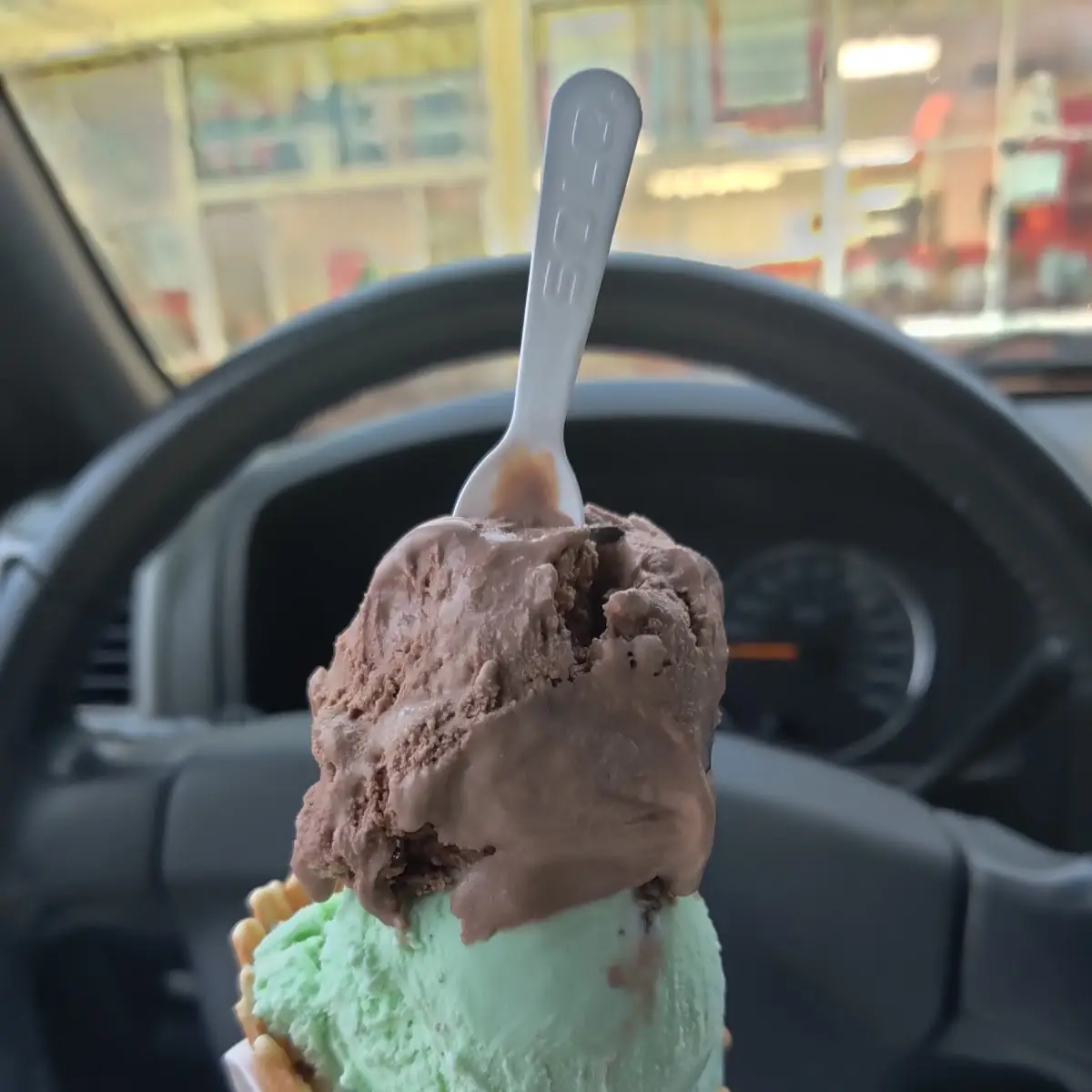 Double Chocolate and Pistachio Ice Cream