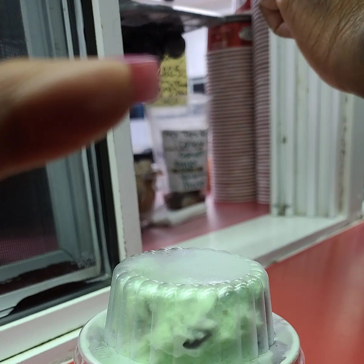 Mint Chocolate Chip