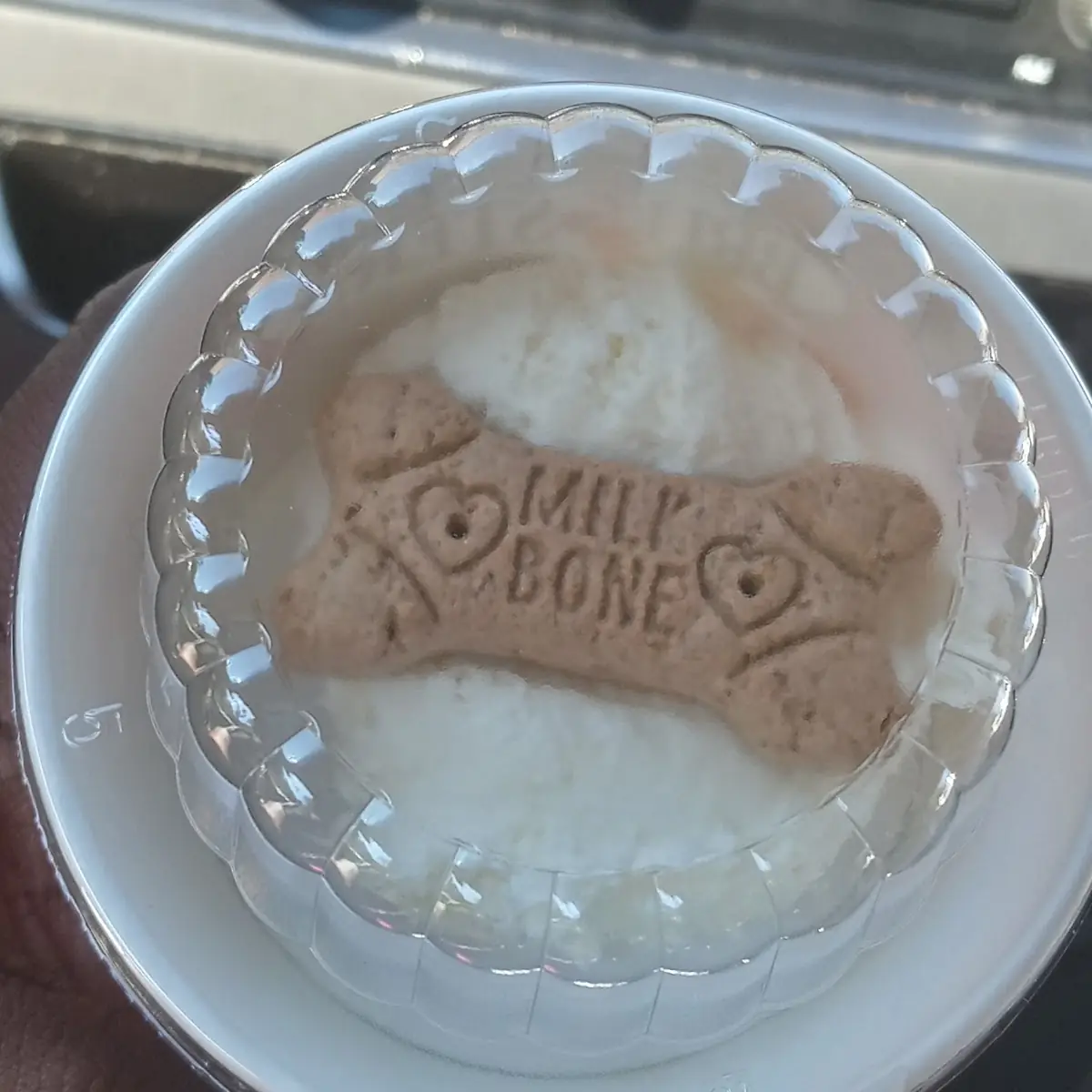 Vanilla Ice Cream with Milkbone for Pet