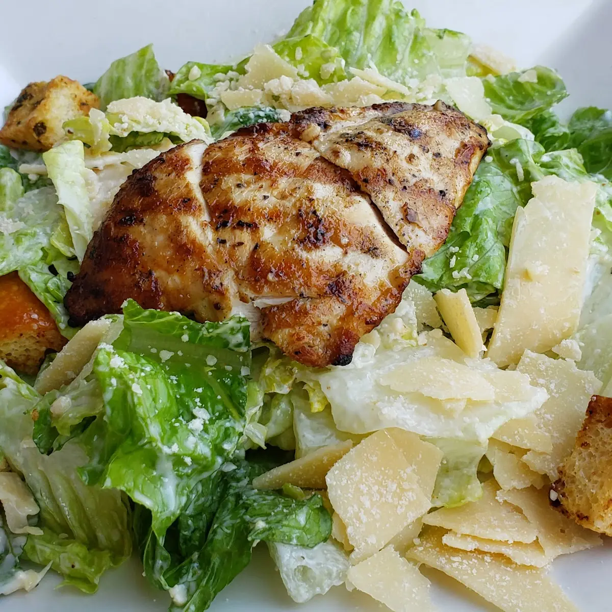 Grilled Chicken Caesar