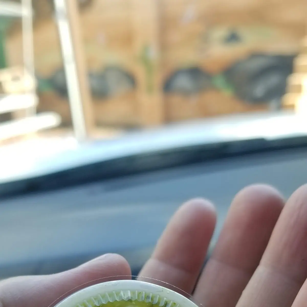 Salsa Verde