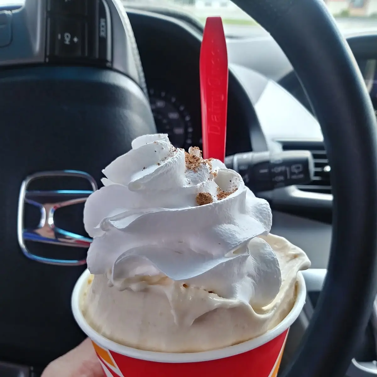 Pumpkin Pie Blizzard