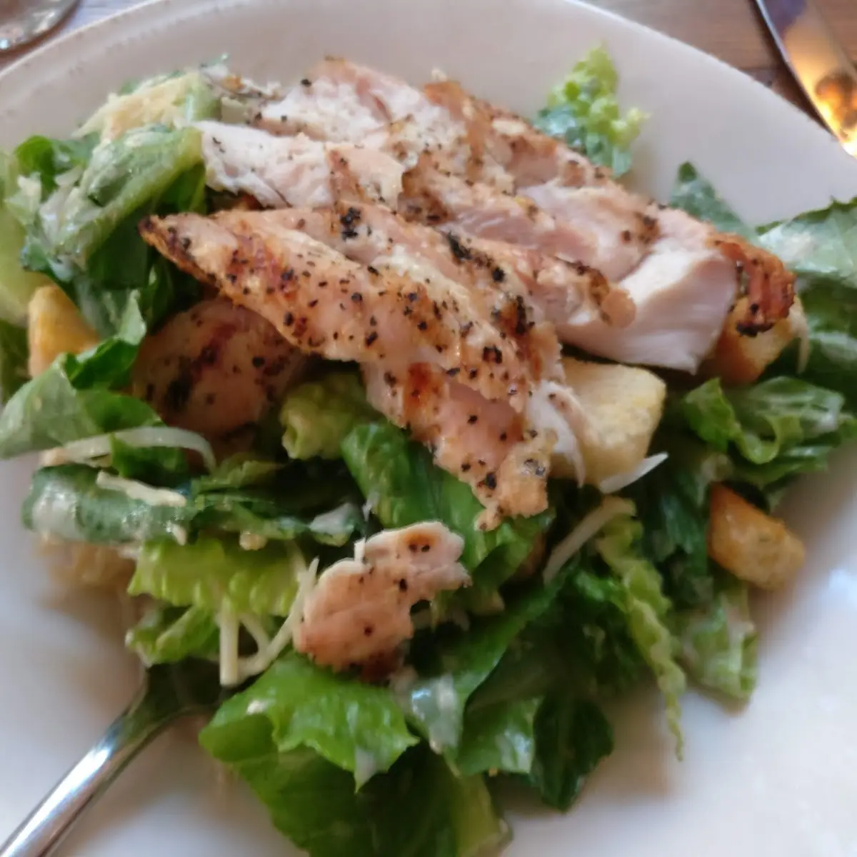 Chicken Caesar Salad