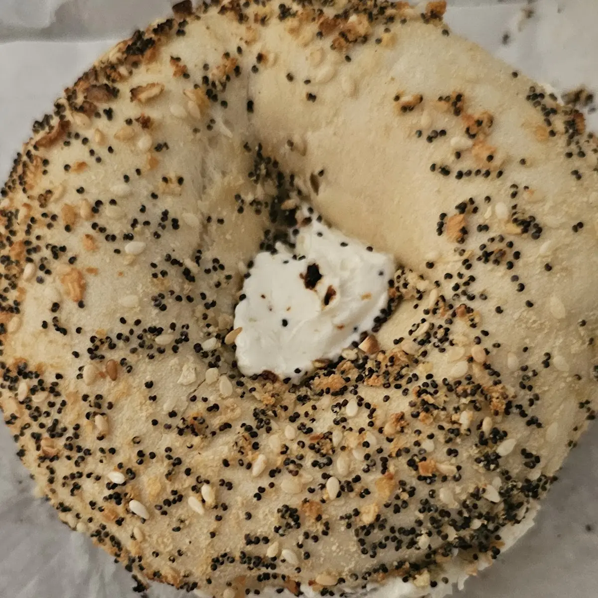 Everything Bagel w Cream Cheese