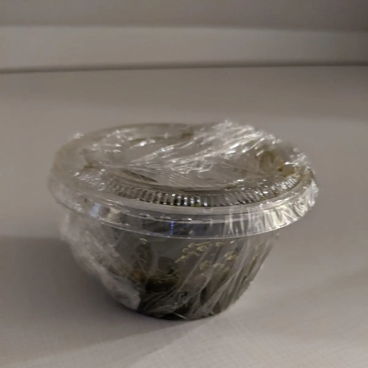 Mint Chutney
