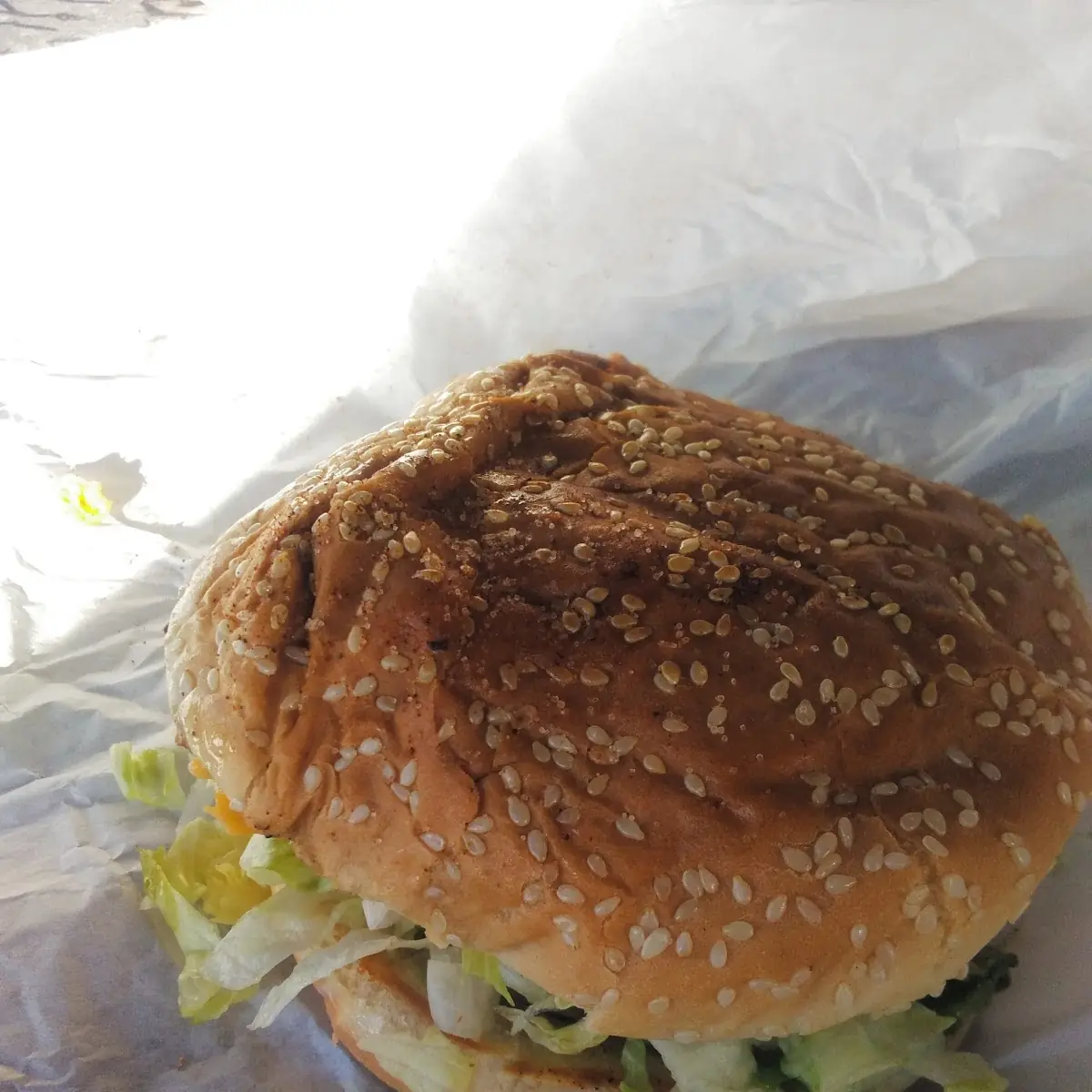 Avocado Cheese Burger Combo