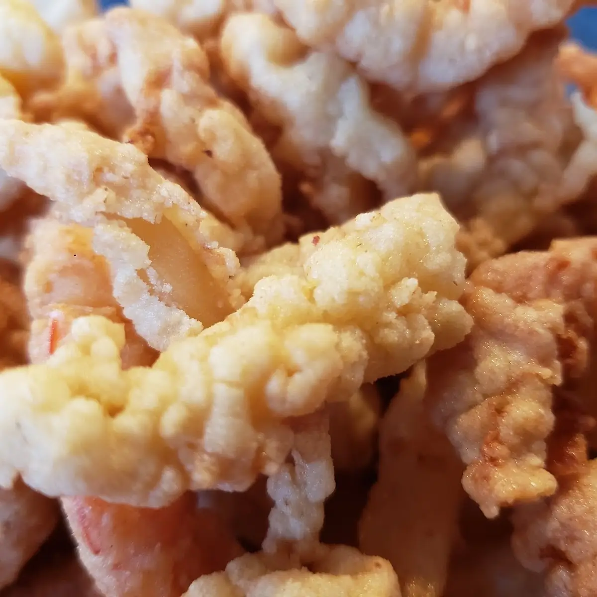 Fried Clam Strips