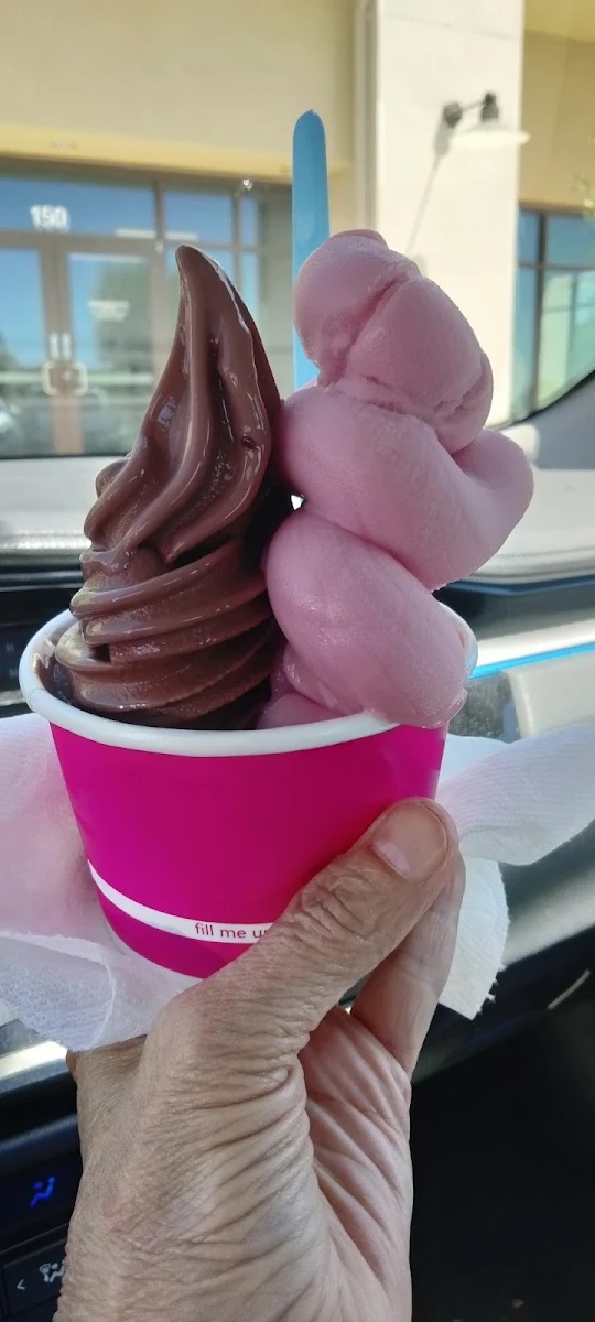 Frozen Yogurt