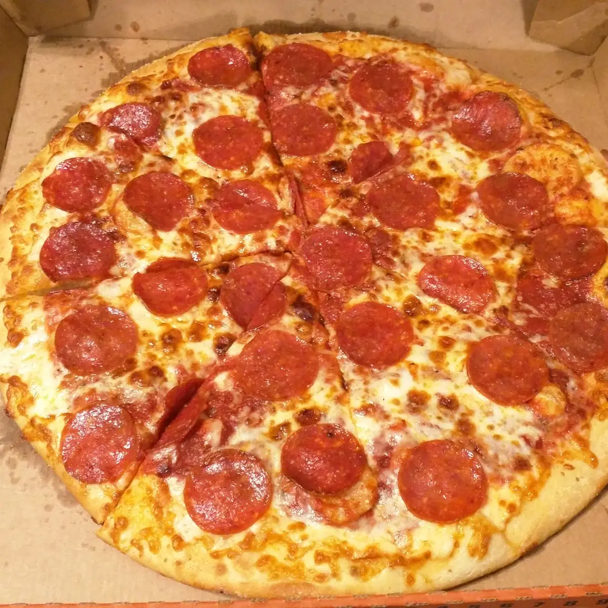 Go Pepperoni Pizza