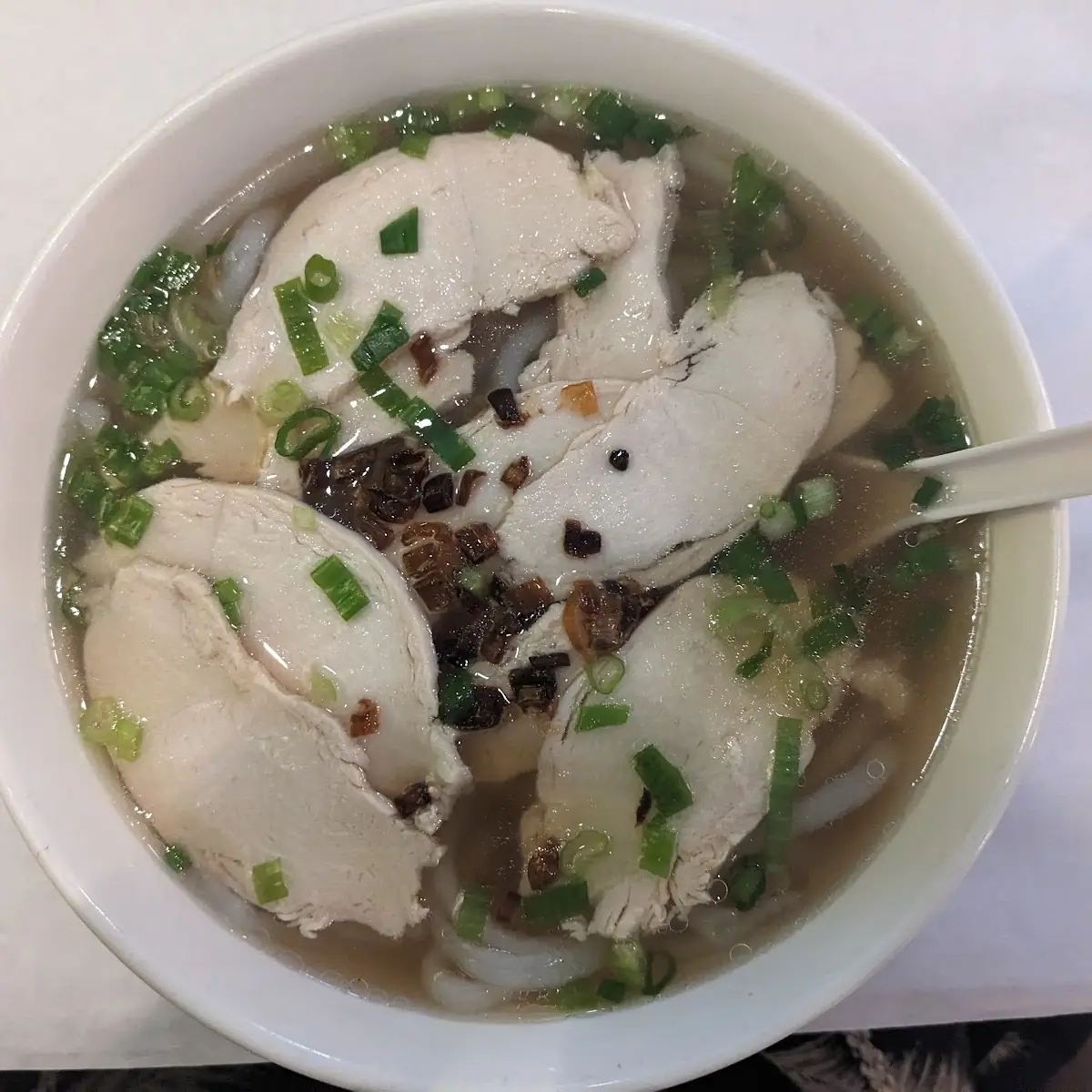 Udon Noodle Soup