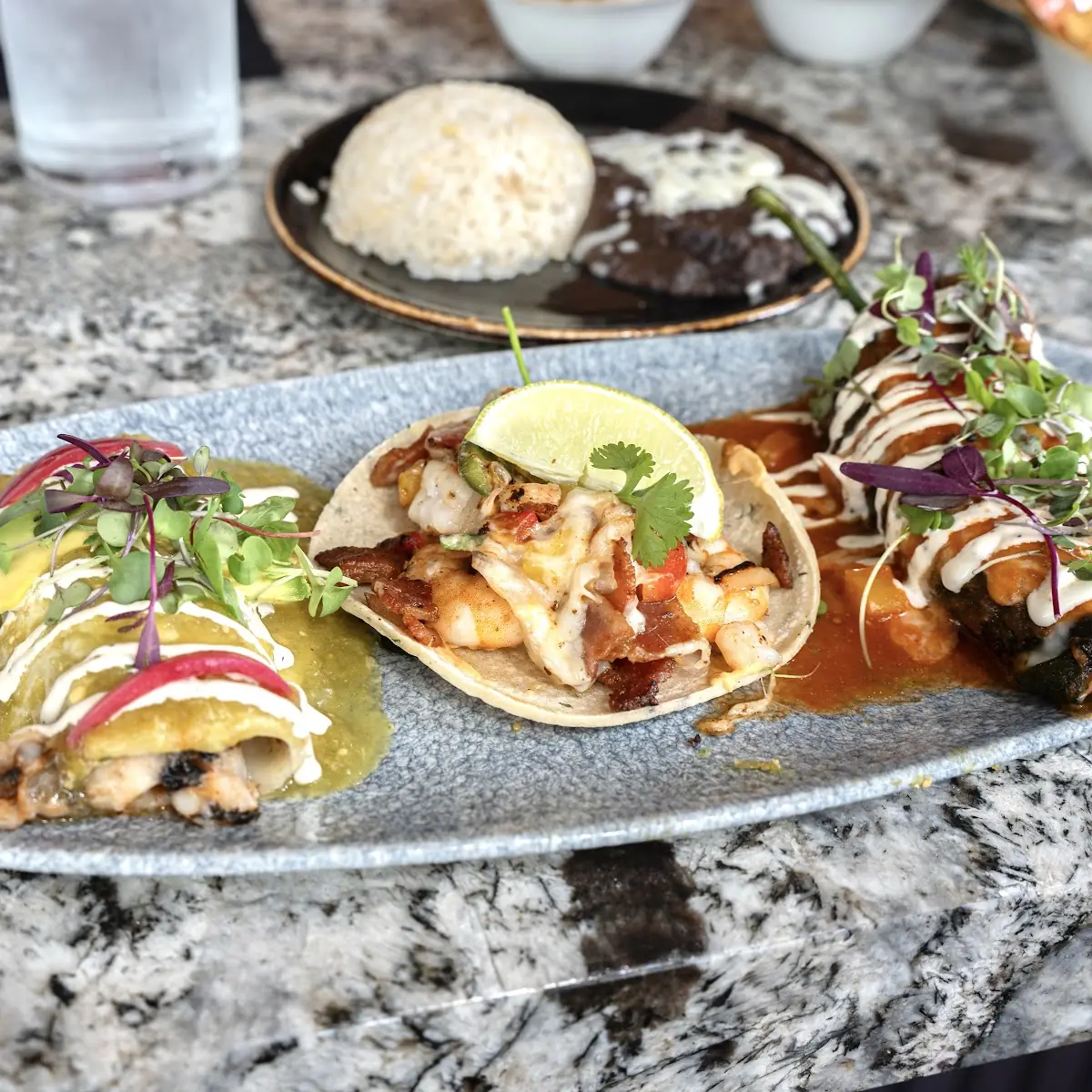 Combo Chicken Enchilada with Mole and Taco