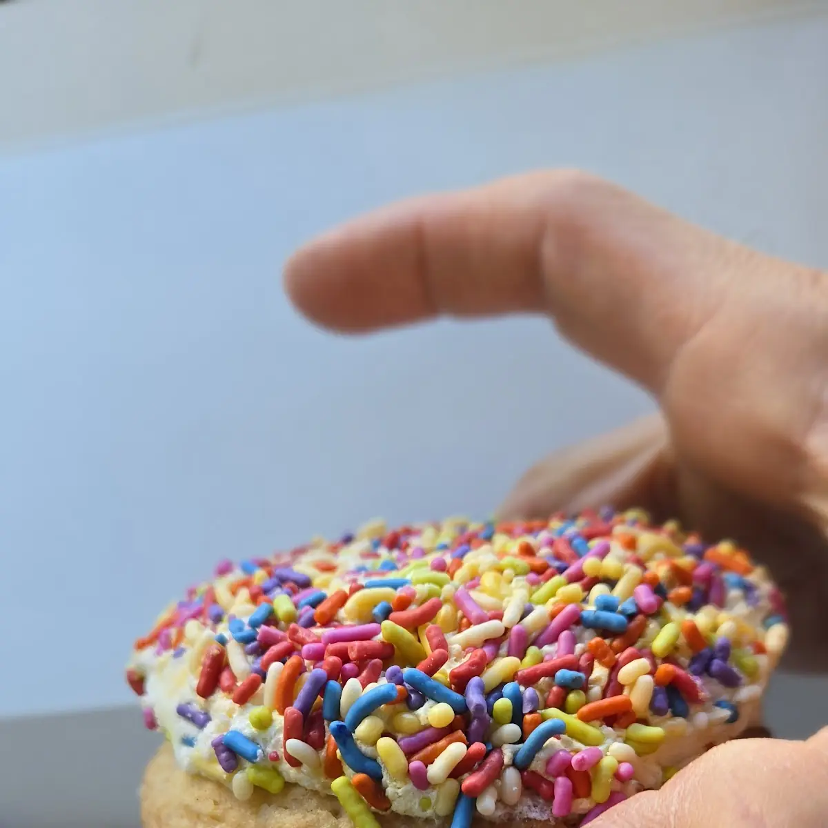 Sprinkle Sugar Cookie